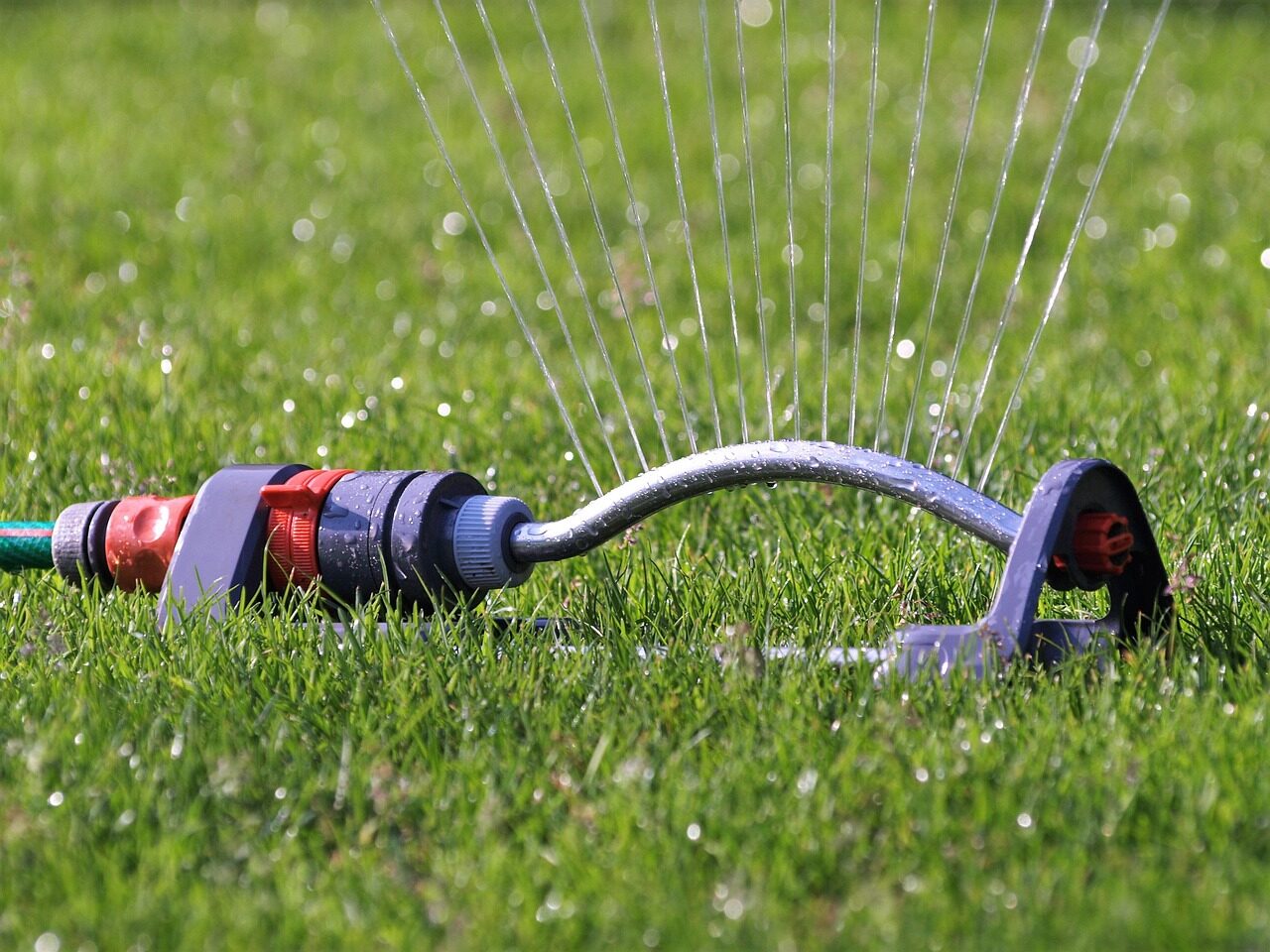 lawn sprinkler, water, nature, hose connection, lawn, garden